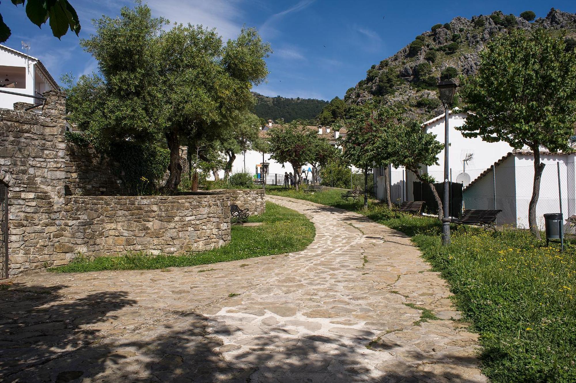 Casa Rural San Jose Grazalema Zewnętrze zdjęcie
